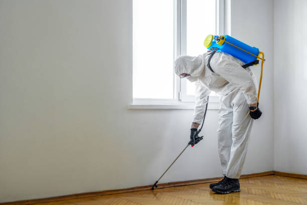 Best Commercial Pest Control  in Nacogdoches, TX